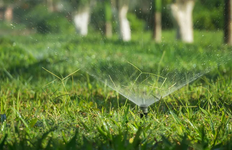 Lawn sprinkler heads watering grass in an irrigation zone